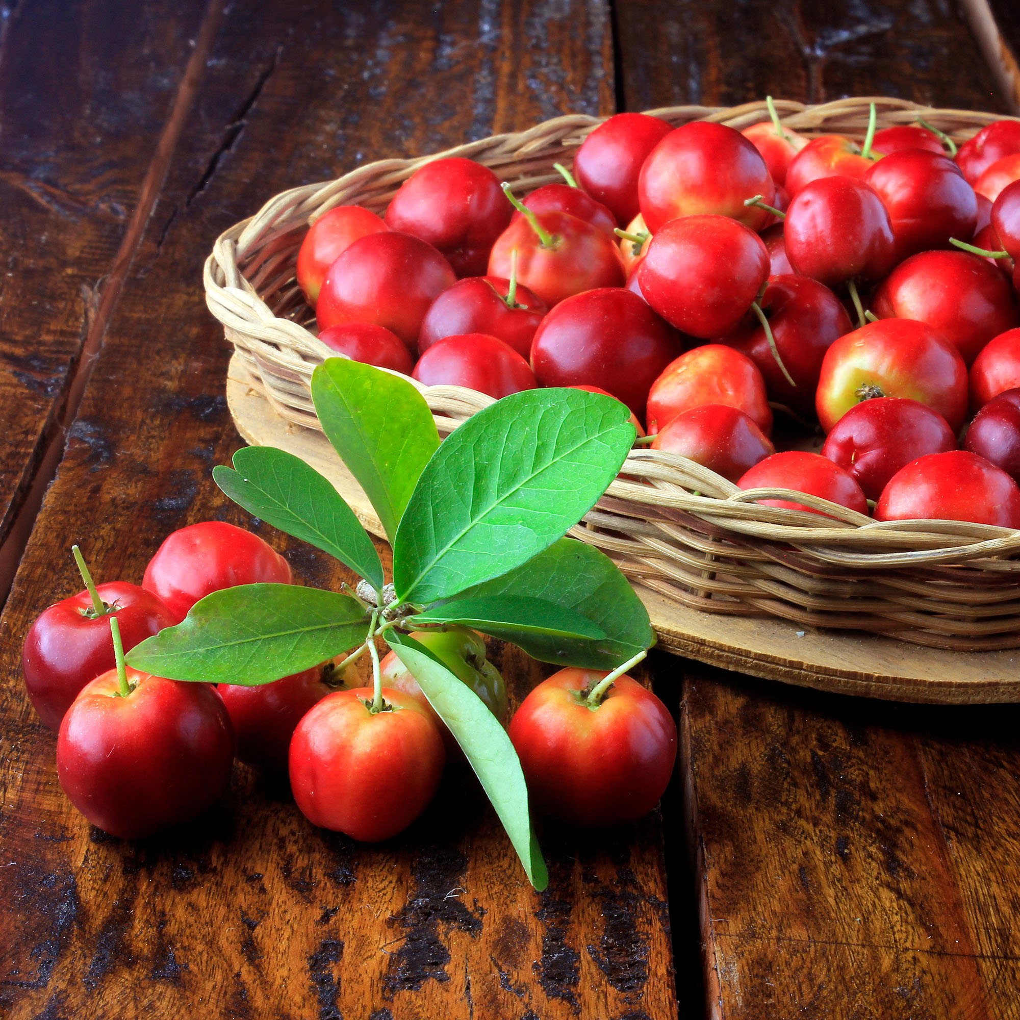 Acerola Extract 25% Vitamin C