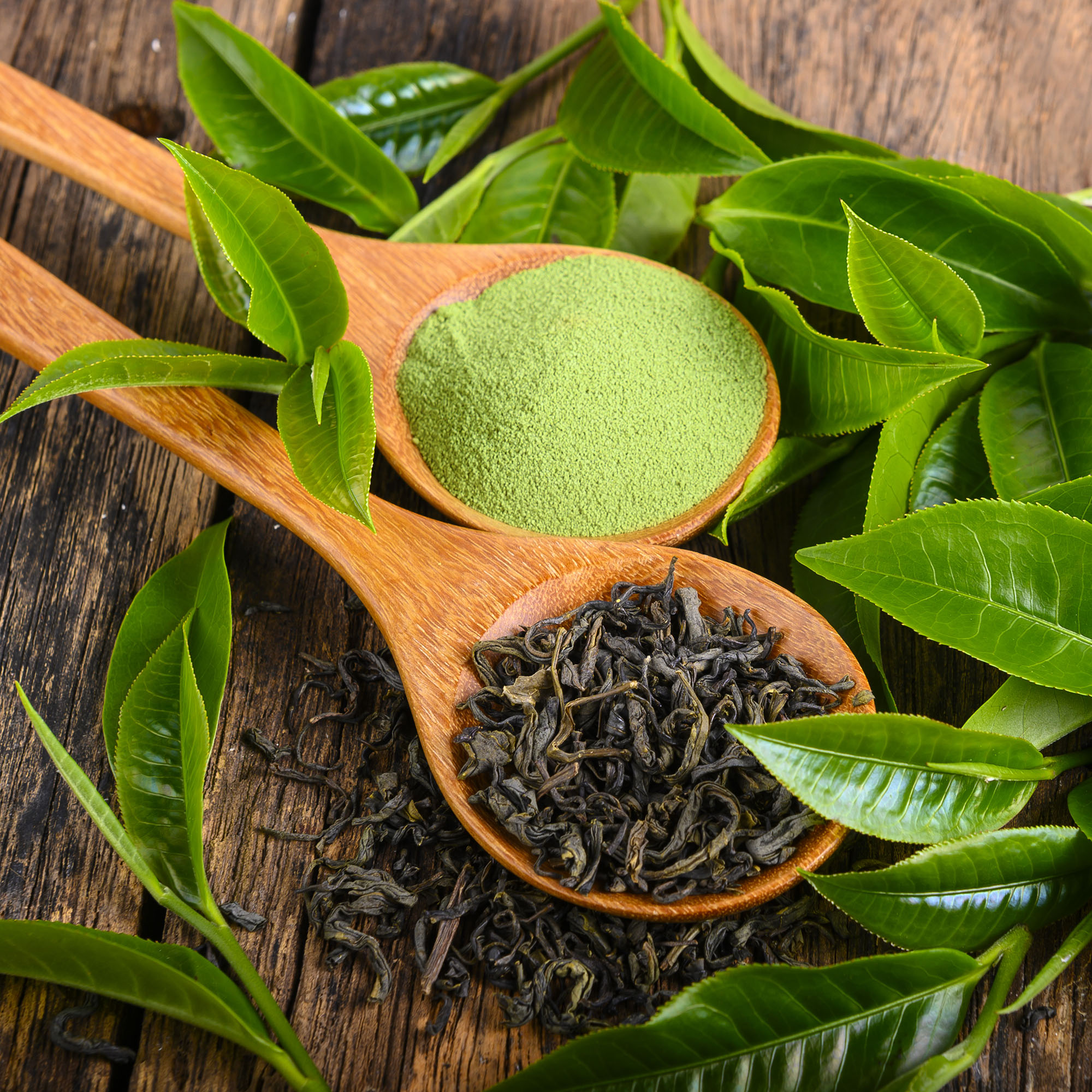 Green tea extract