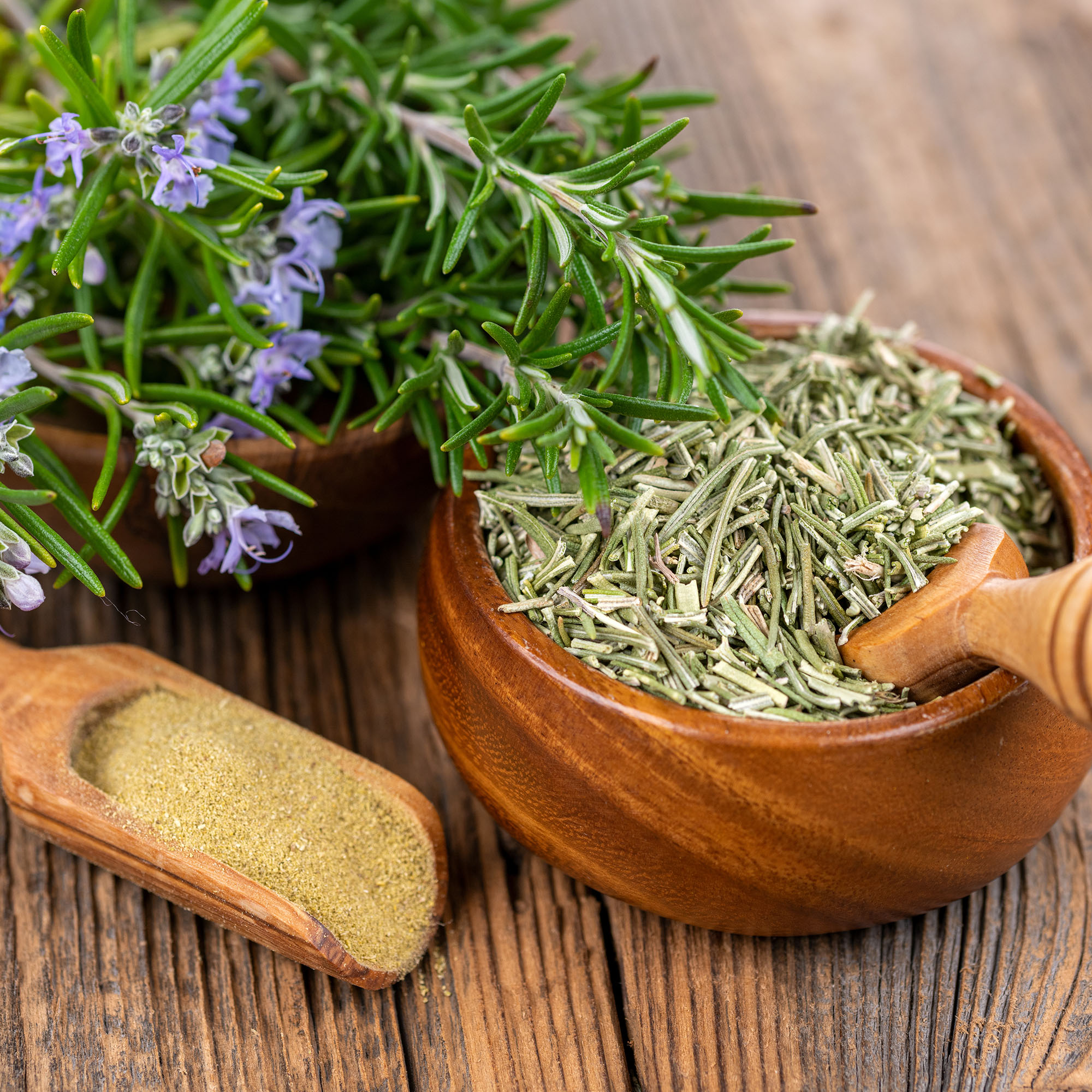 Organic Rosemary Extract Powder