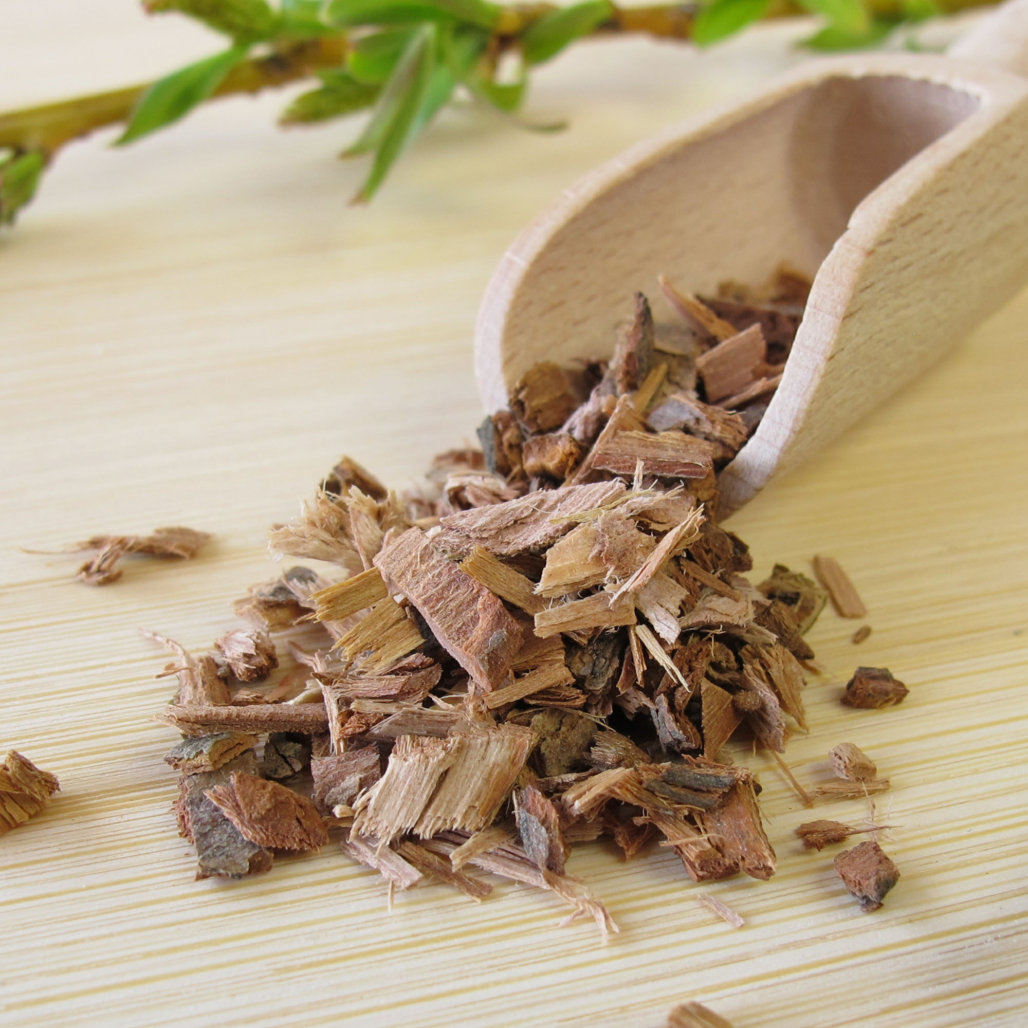 Willow bark extract powder