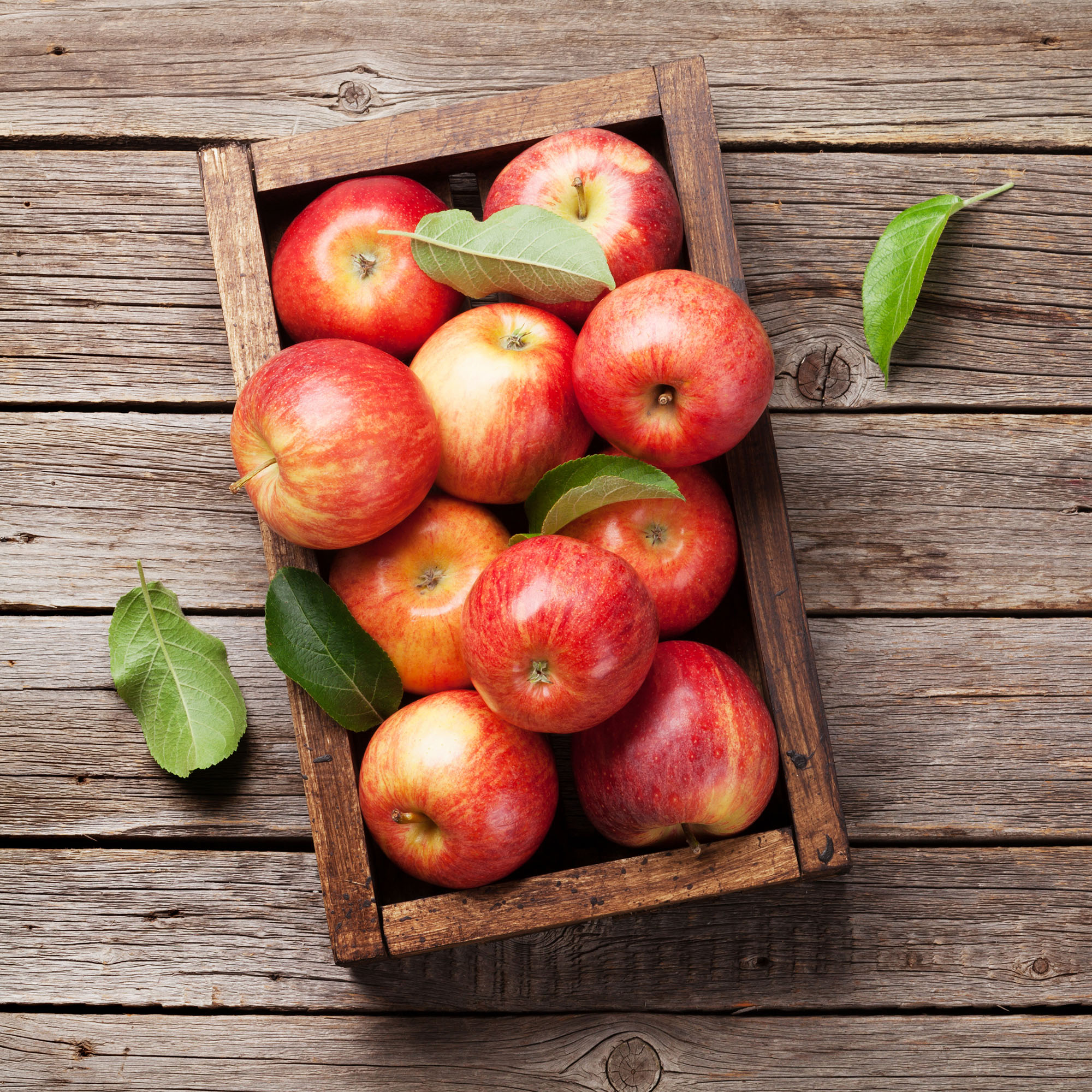 Apple Cider Vinegar Powder, 6% total apple cider