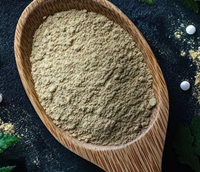 2025-10_MemoryComplex_WebImages_Powder