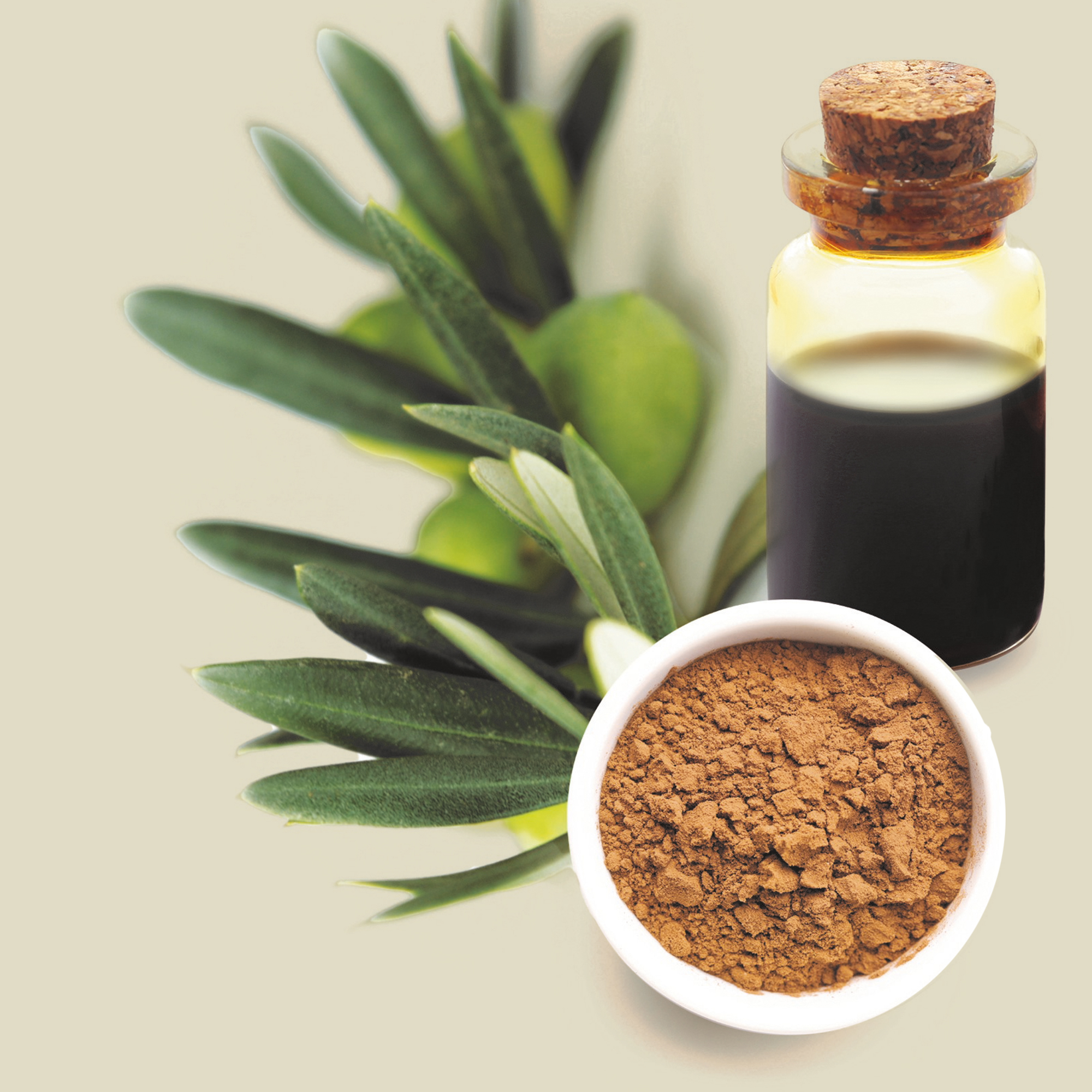 Phenolea Acryless