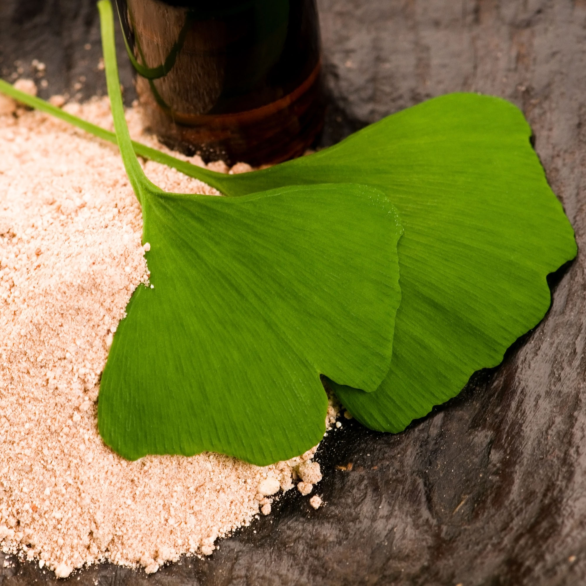 Ginkgo Biloba Extract