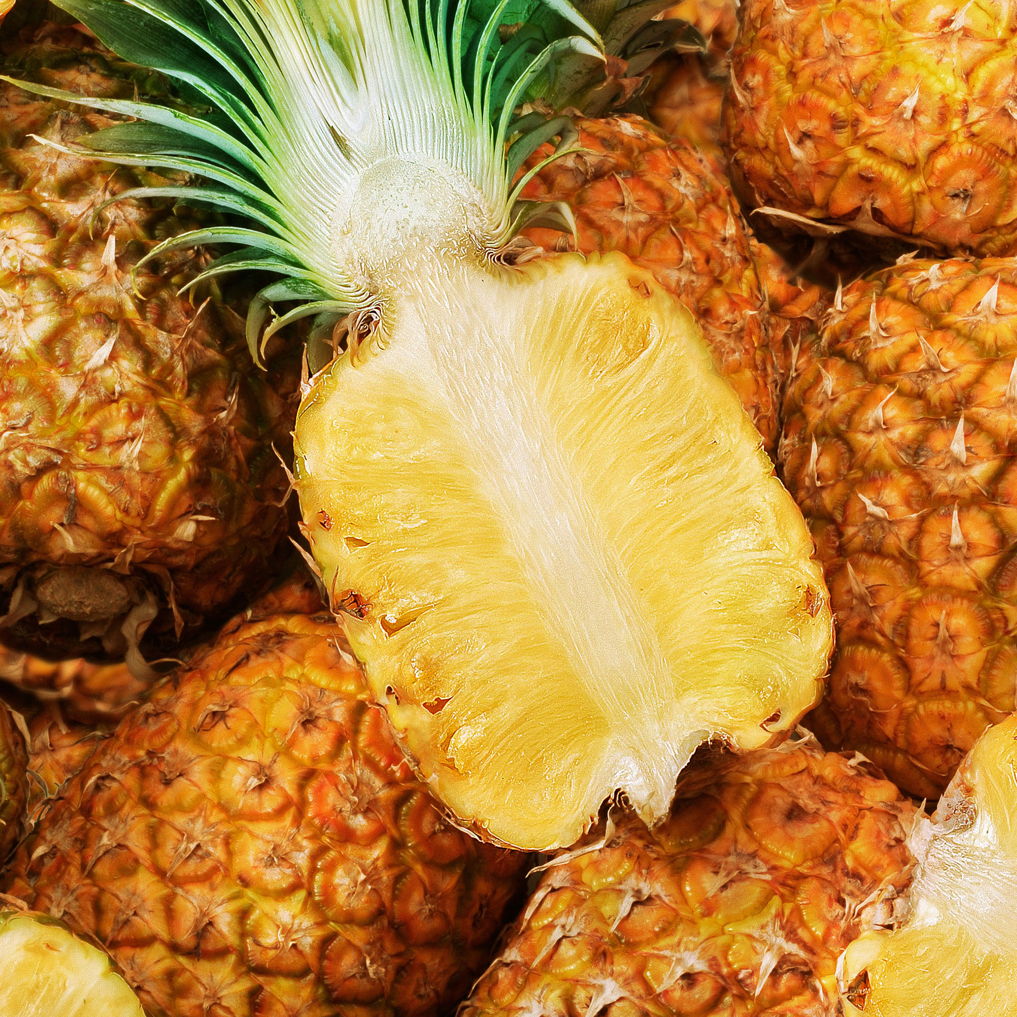 Bromelaine 2500 GDU